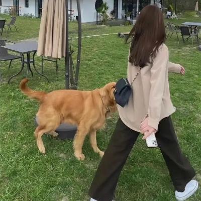 爱在初心