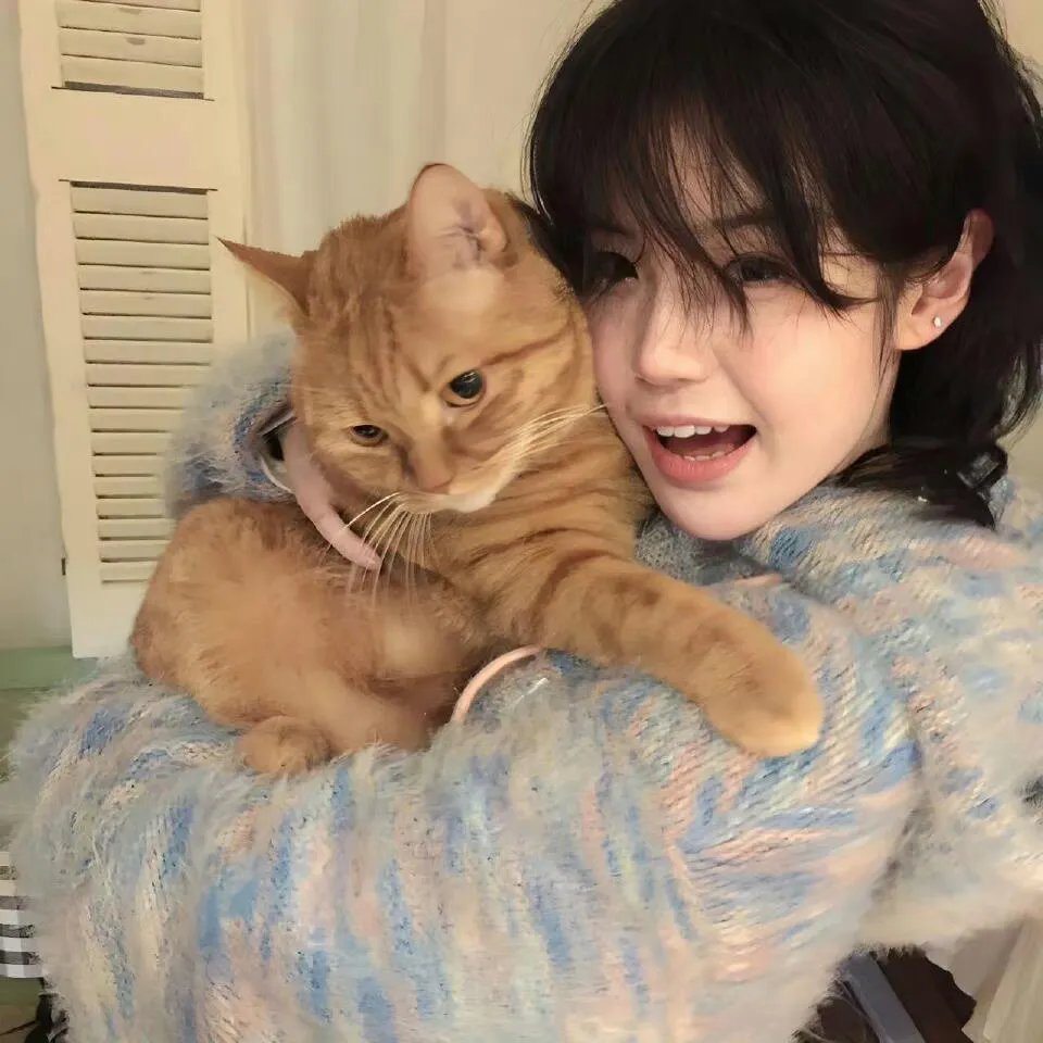 五香宫的猫